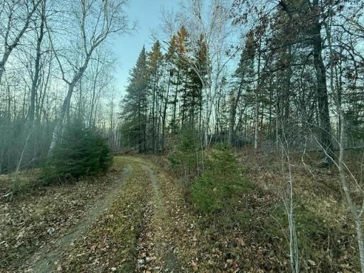 24965 Hammock Trail, Park Rapids, MN 56470