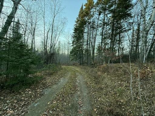 24965 Hammock Trail, Park Rapids, MN 56470