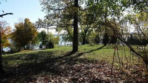 Photo for 893 White Clover Beach Road, Detroit Lakes, MN 56501 - listing #6816402 893 White Clover Beach Road, Detroit Lakes, MN 56501