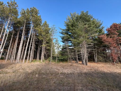 L2,Blk1 262nd Avenue NW, Big Lake, MN 55309