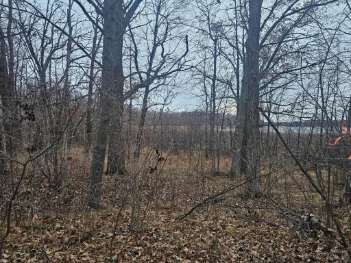 Photo for TBD County Road 30, Aitkin, MN 56431 - listing #6816600 TBD County Road 30, Aitkin, MN 56431