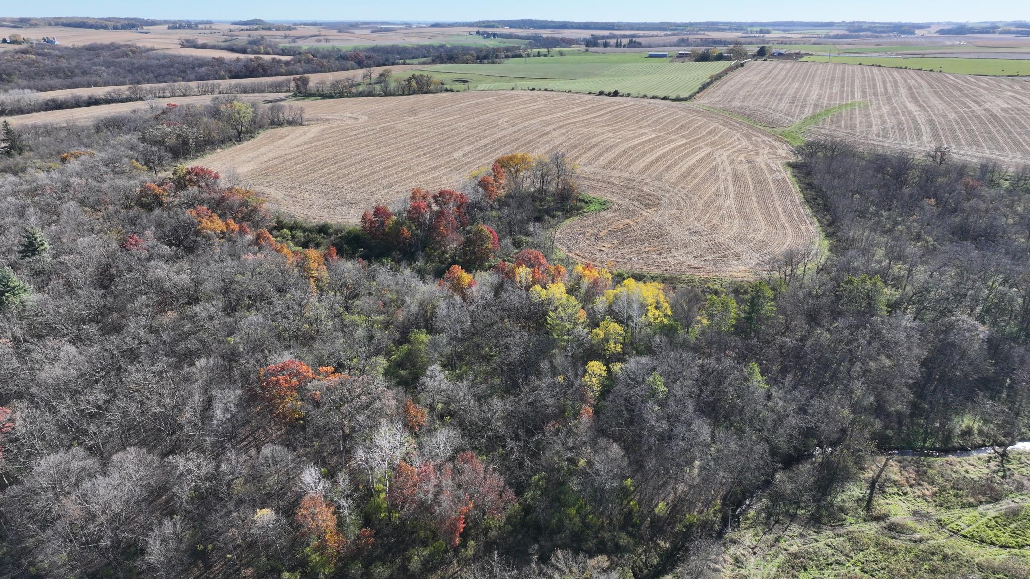 DJI_20251103130201_0724_D.JPG