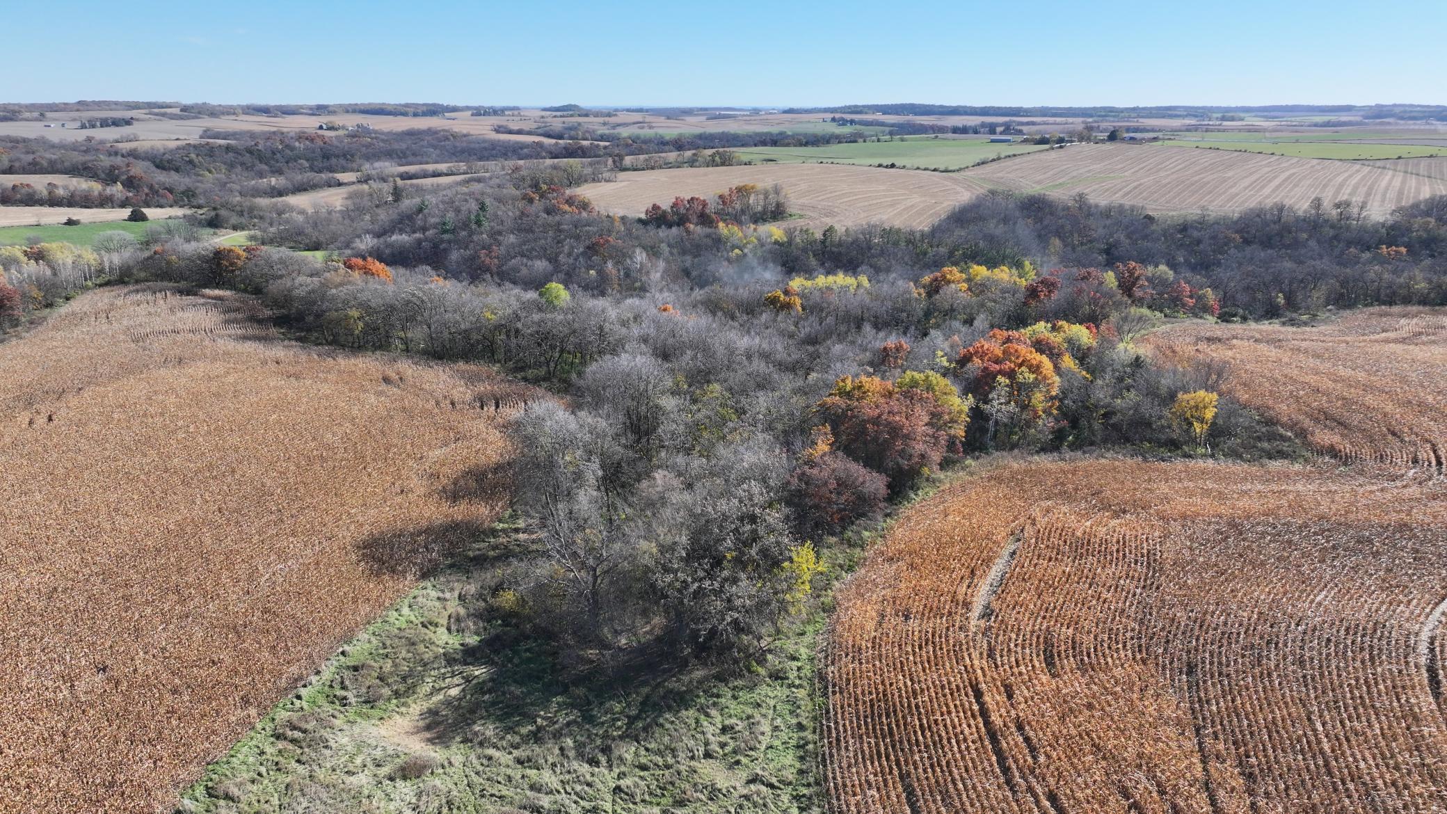 DJI_20251103130351_0729_D.JPG