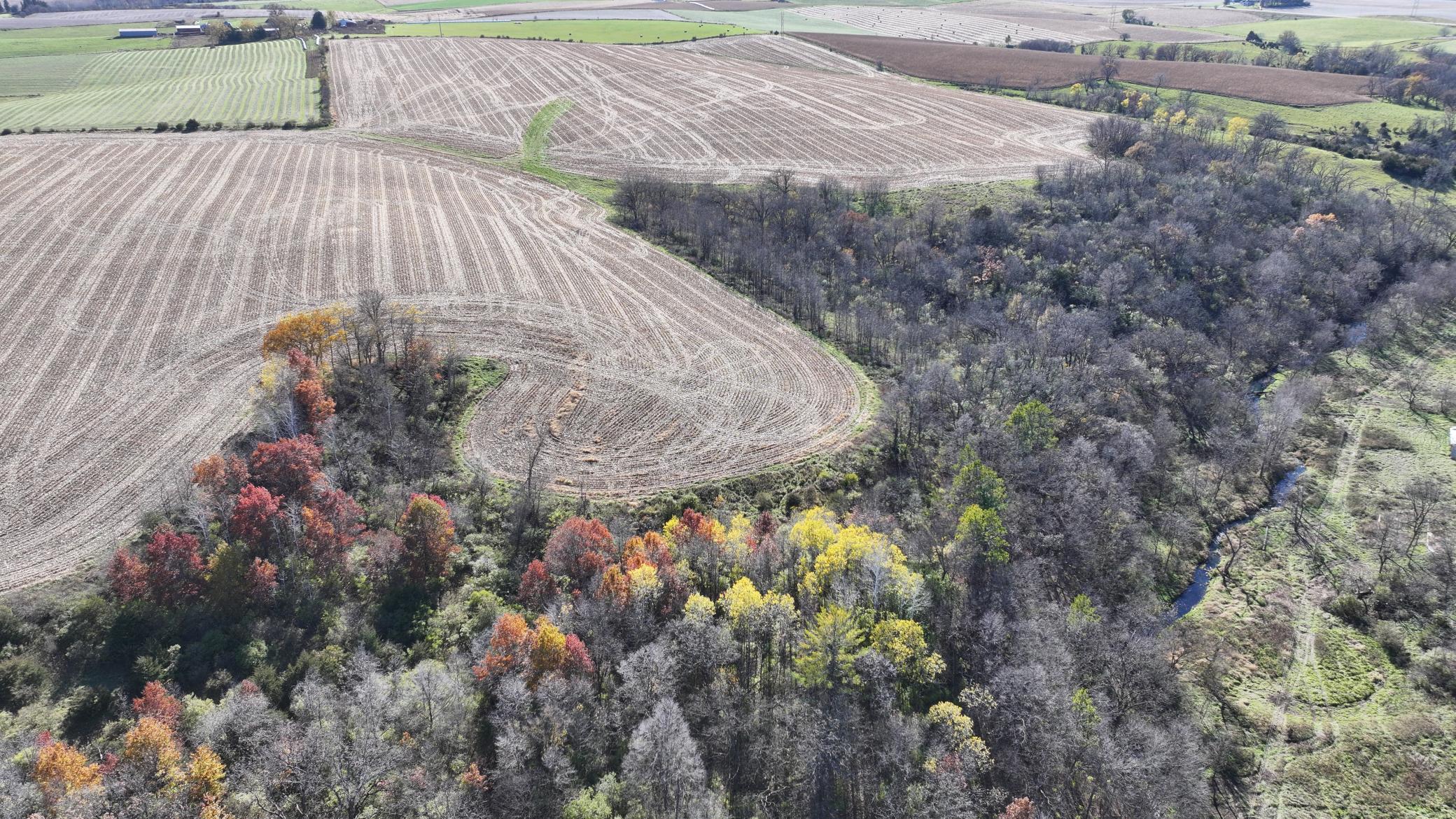 DJI_20251103131453_0745_D.JPG