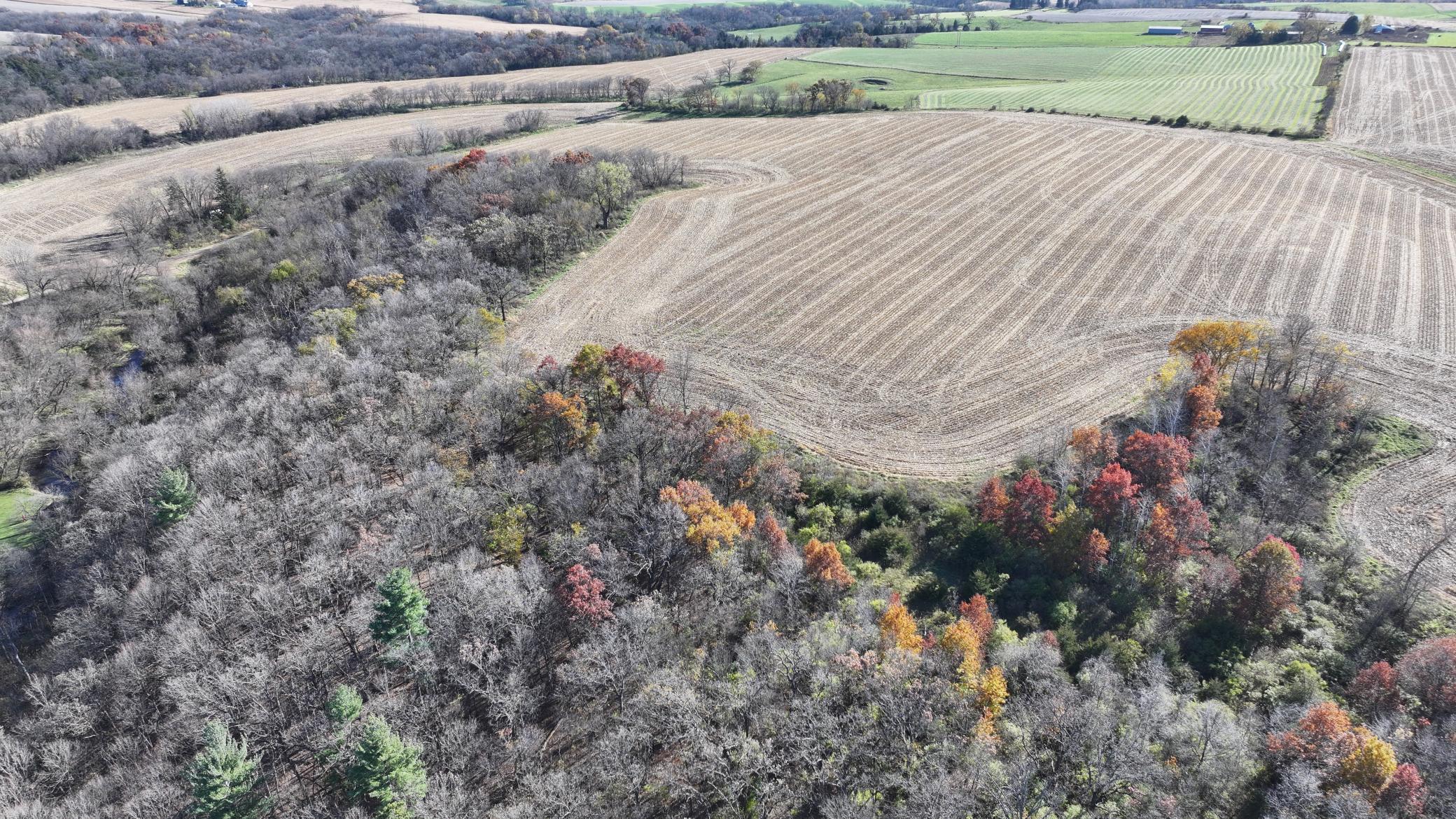 DJI_20251103131458_0746_D.JPG