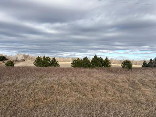 TBD Leaf River Road, Ottertail, MN 56571