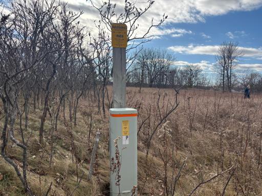 TBD Leaf River Road, Ottertail, MN 56571