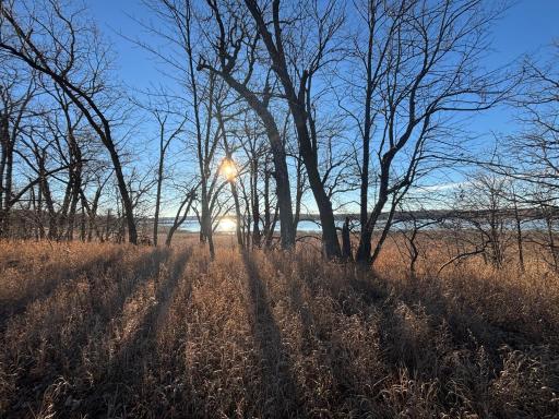 TBD Leaf River Road, Ottertail, MN 56571