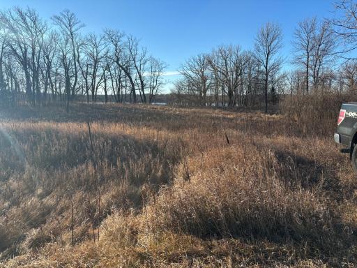 TBD Leaf River Road, Ottertail, MN 56571