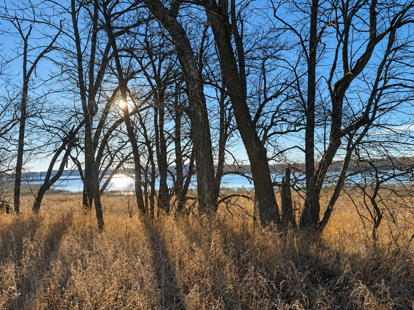 Middle Leaf lake