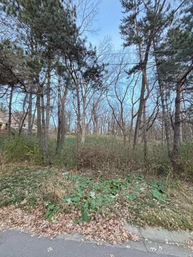 Photo for 12786 Denmark Avenue, Saint Paul, MN 55124 - listing #6816920 12786 Denmark Avenue, Saint Paul, MN 55124