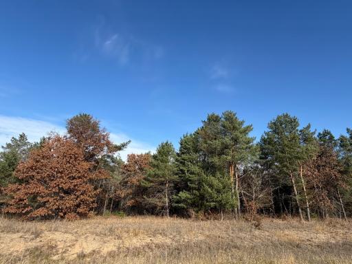 L5,Blk1 262nd Avenue NW, Big Lake, MN 55309