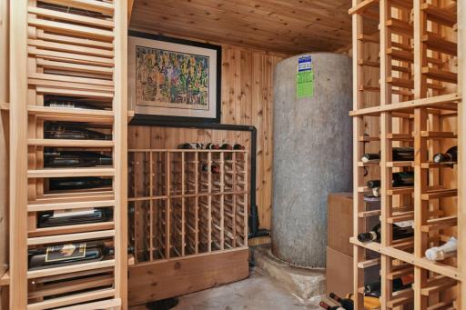 Walk-out level wine storage! This closet also houses the well!