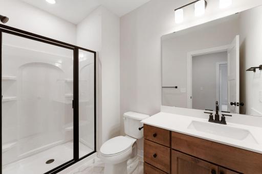 Lower Level Bathroom