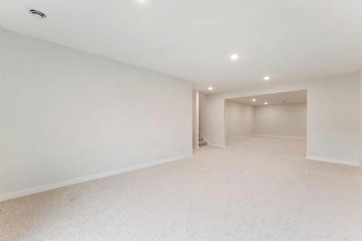 Lower Level Family Room