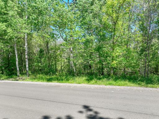 20xx Stanford Avenue, Duluth, MN 55811