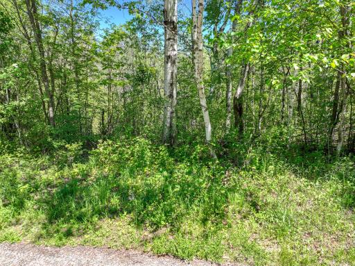20xx Stanford Avenue, Duluth, MN 55811