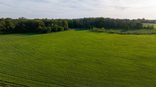 TBD County Rd. 50, Carver, MN 55315