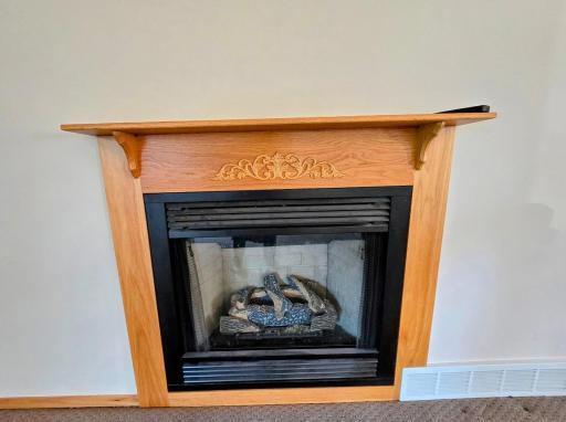 Gas fireplace (propane)