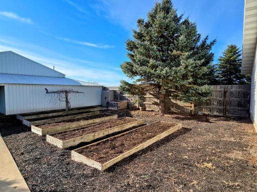 5 garden beds located between the garage and shed.