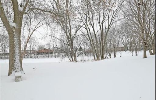 Gorgeous views of the pond
