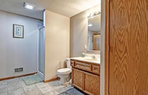 Lower Level Bathroom