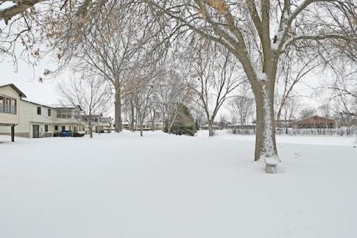 Another view of the lovely backyard