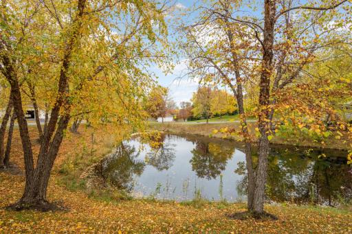 One of our favorite parts of this home is looking through the kitchen window, living room window, and sunroom to see this view!