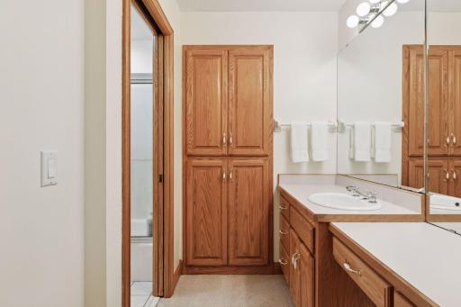 10 Apple Orchard Court, Saint Paul, MN 55110