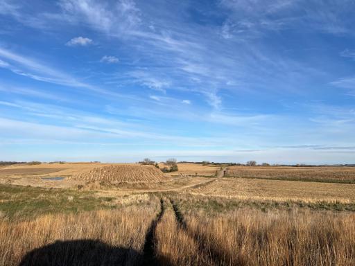 440 90th Avenue NE, Benson, MN 56215