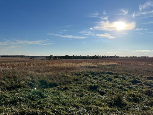 440 90th Avenue NE, Benson, MN 56215
