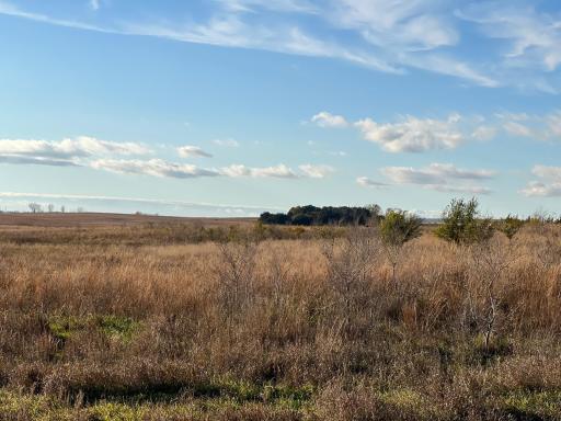 440 90th Avenue NE, Benson, MN 56215