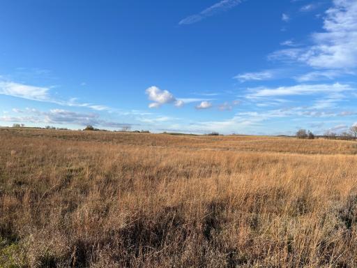 440 90th Avenue NE, Benson, MN 56215