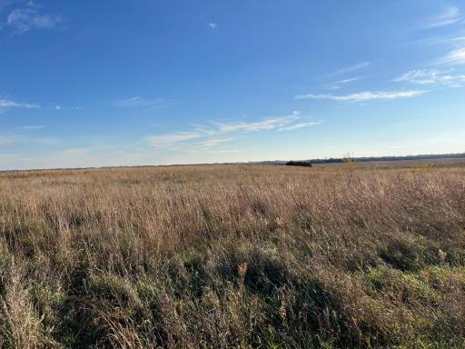 440 90th Avenue NE, Benson, MN 56215