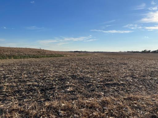 440 90th Avenue NE, Benson, MN 56215