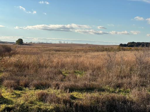 440 90th Avenue NE, Benson, MN 56215