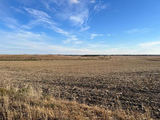 440 90th Avenue NE, Benson, MN 56215