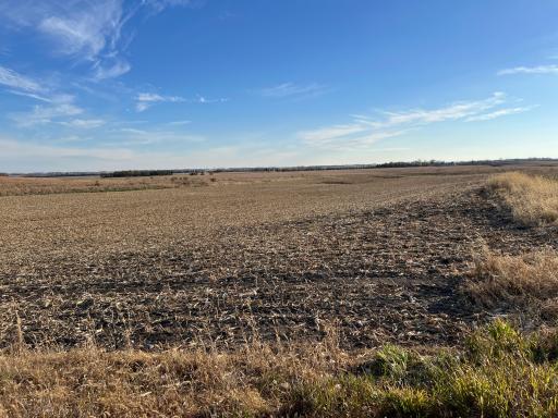 440 90th Avenue NE, Benson, MN 56215