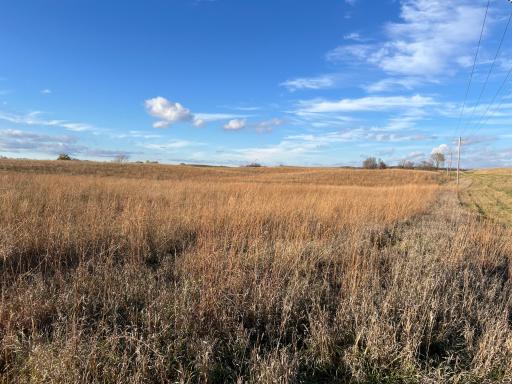 440 90th Avenue NE, Benson, MN 56215