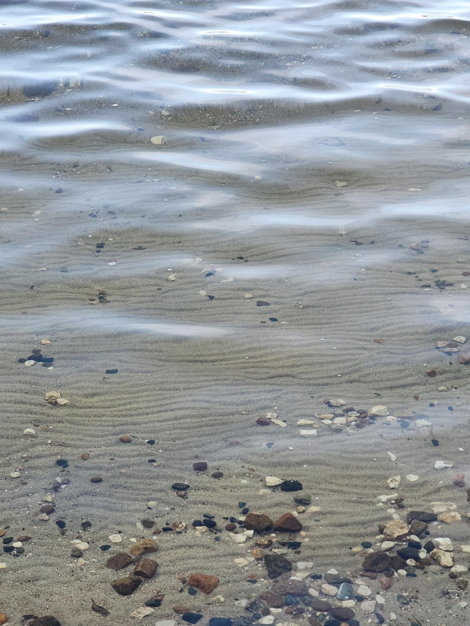 Water Clarity.JPG