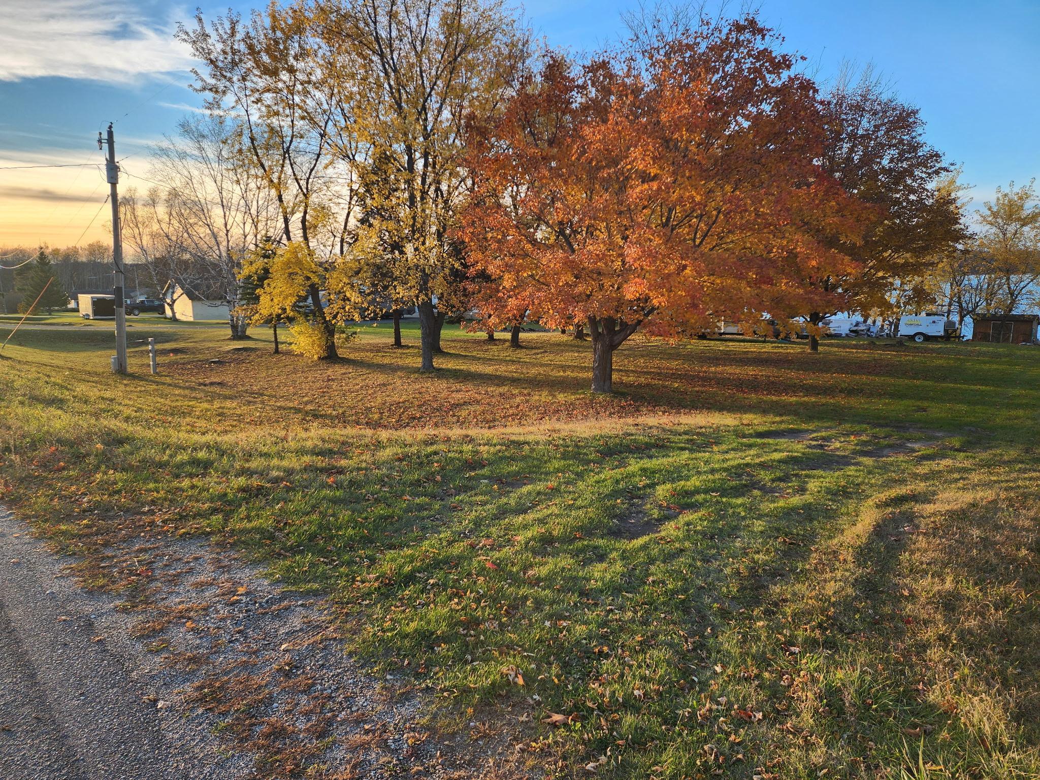 Road View.JPG