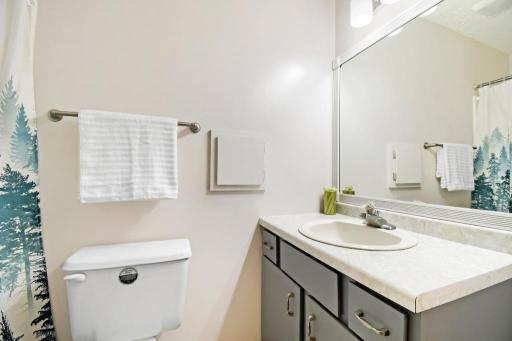Main-floor bathroom!