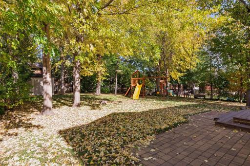 Well maintained yard with medium tree coverage.