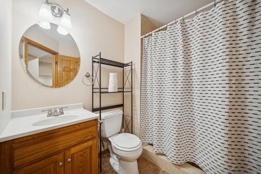 Lower level bathroom.