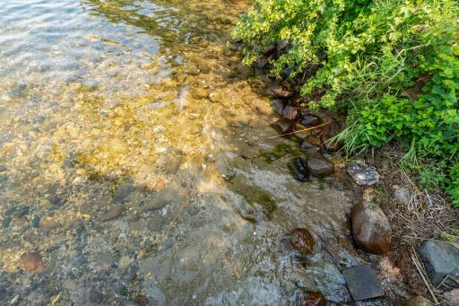 Crystal clear water and hard lake bottom - perfect for swimming!