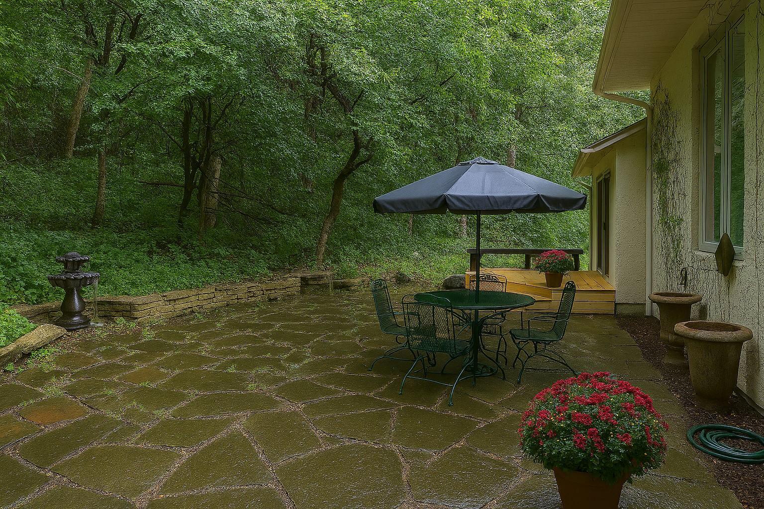 Outside -back wooded area.jpeg