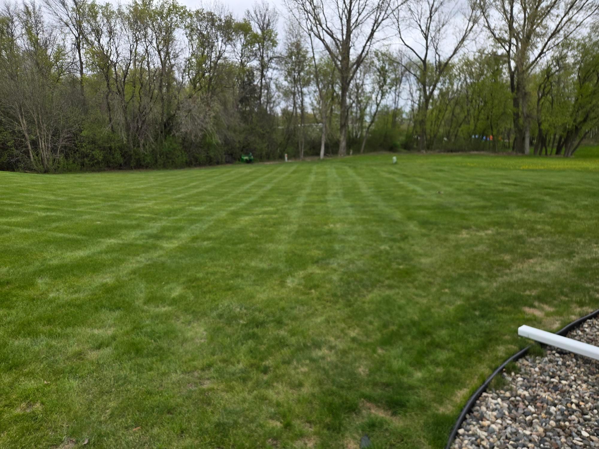 View from house looking to back of yard