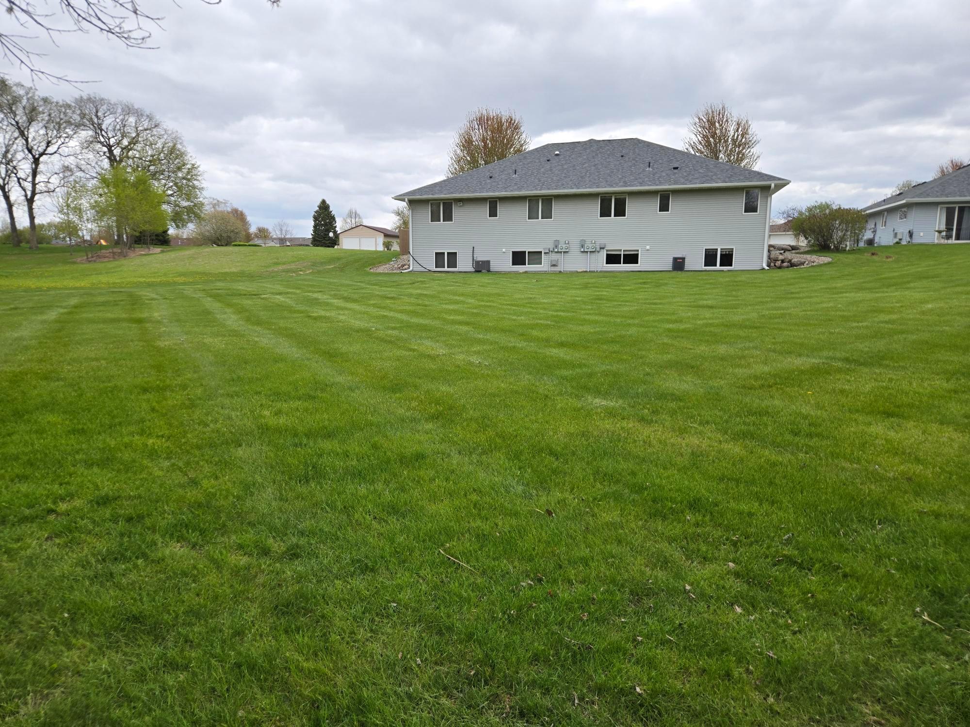 Photo from back of yard