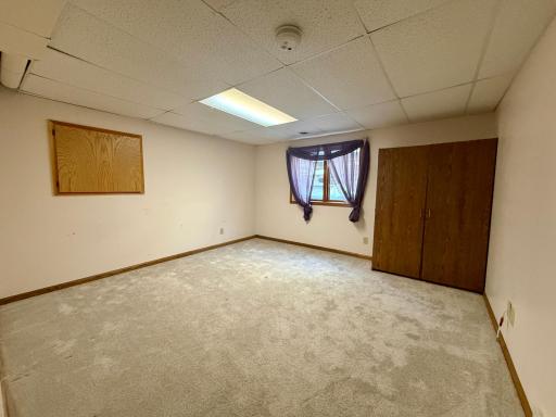 236 Wilson Street, Alden, MN 56009