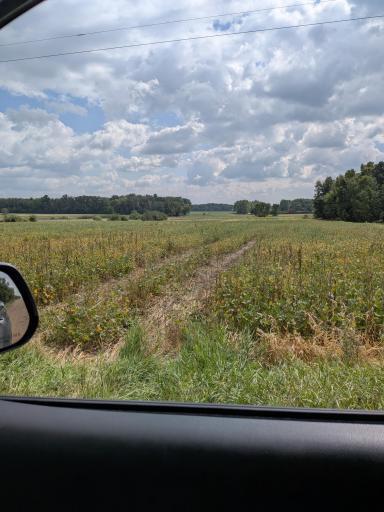 Photo for TBD 130th Avenue, Mora, MN 55051 - listing #6819546 TBD 130th Avenue, Mora, MN 55051